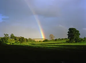 Appleby artwork