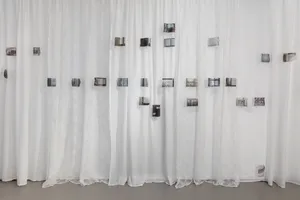 As the Crow Flies artwork