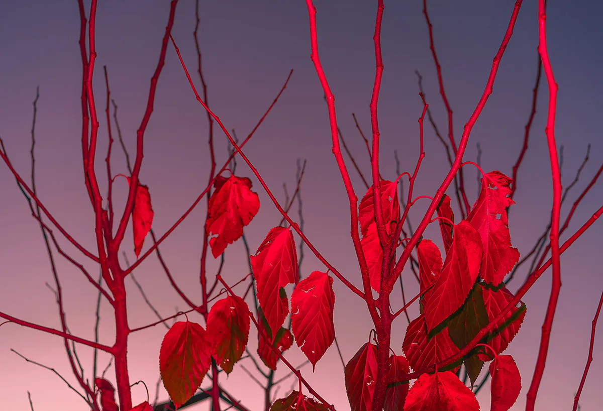 Meet the artists nominated by Bienal Fotografia do Porto in 2022