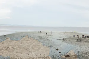 Barreiro in Ecologies artwork