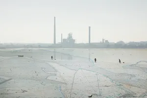 Barreiro in Ecologies artwork