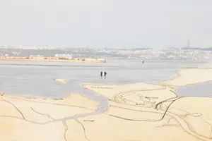 Barreiro in Ecologies artwork
