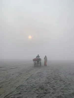 Bees Above Our Heads