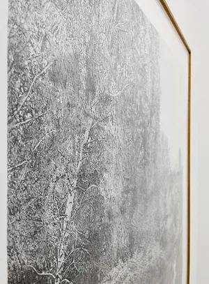 Silbersee / The Silver Lake artwork