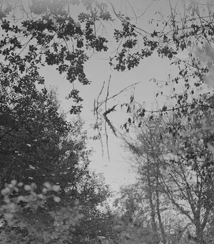 Silbersee / The Silver Lake artwork