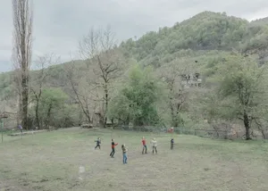 Between the Trees artwork