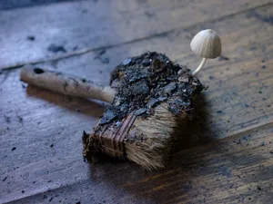 Biodegradable Space artwork