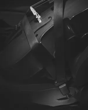 Blank Verse artwork