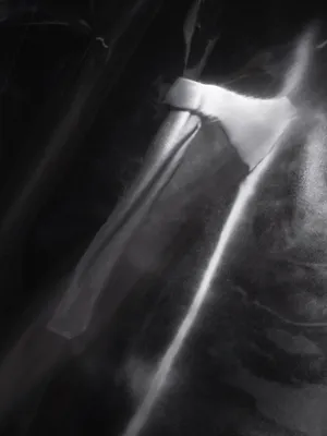 Bones of Graphene, Skin of Kevlar artwork