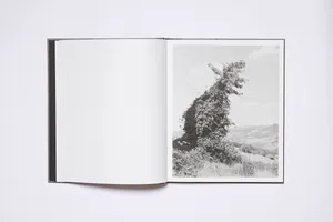 Borderland artwork