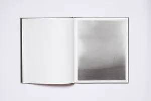 Borderland artwork