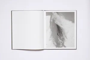 Borderland artwork