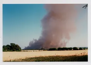 Brandtræer på Als artwork