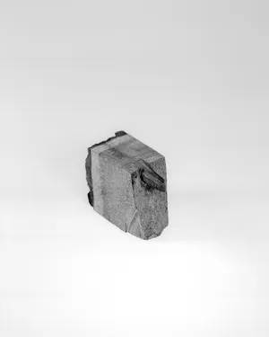 Brandtræer på Als artwork