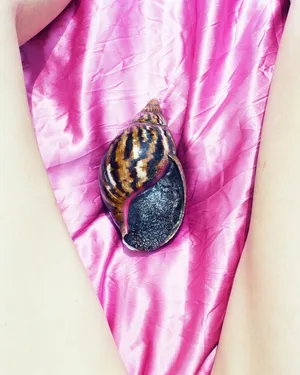 Butterflies Are a Sign of a Good Thing artwork
