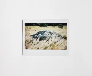 Calcestruzzo (Concrete) artwork