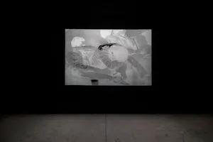 Carriers artwork