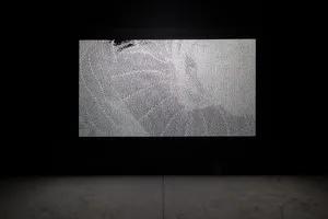 Carriers artwork