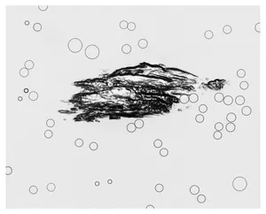 Case 433 artwork