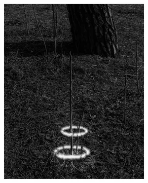 Case 433 artwork