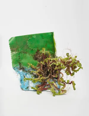 Center for the Living Things artwork
