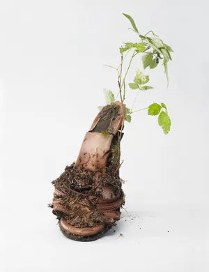 Center for the Living Things artwork
