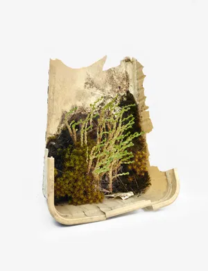 Center for the Living Things artwork