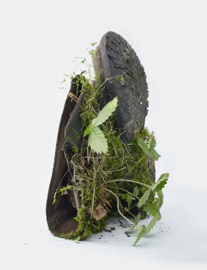 Center for the Living Things artwork