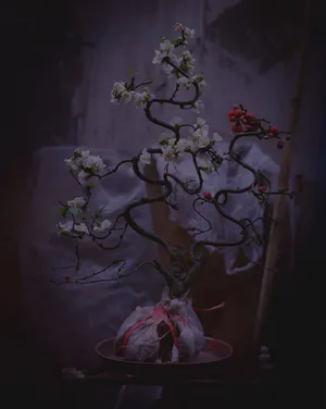 China Dream artwork
