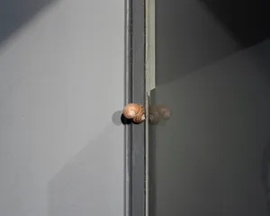 Collecting Time artwork