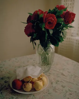 Coming Home artwork