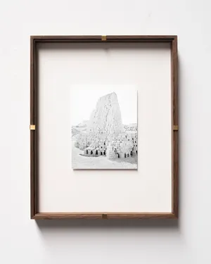 Conference of the Birds artwork