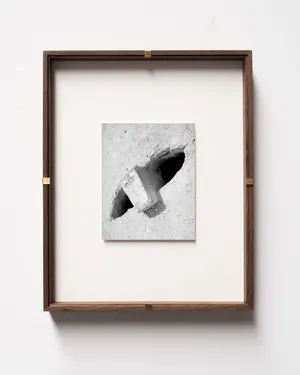 Conference of the Birds artwork