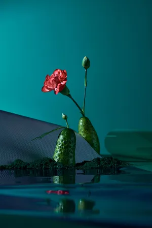 CONTINUOUS GARDENS artwork