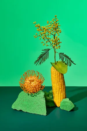 CONTINUOUS GARDENS artwork