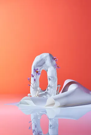 CONTINUOUS GARDENS artwork