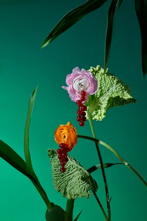 CONTINUOUS GARDENS artwork