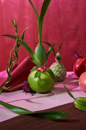 CONTINUOUS GARDENS artwork