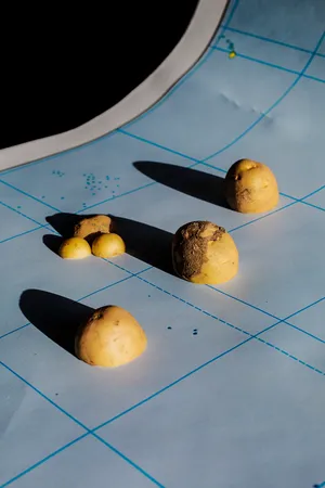 Cooking Potato Stories artwork