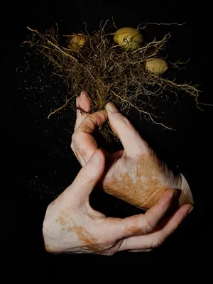 Cooking Potato Stories artwork