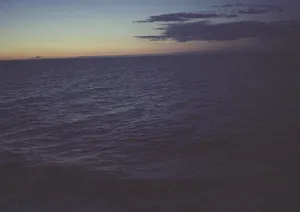 Cruise artwork