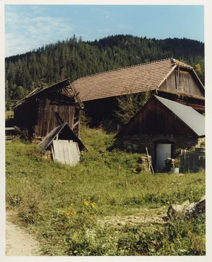 CSANGO LAND artwork