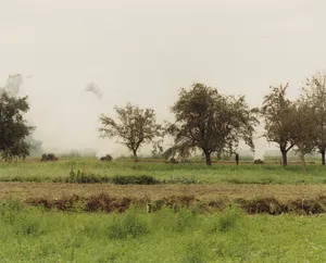 CSANGO LAND artwork