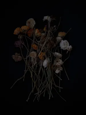 Dead Flowers artwork