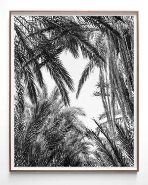 Desert Spirals artwork