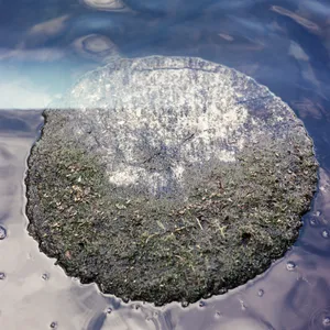 Devil's Lake artwork