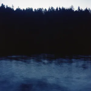 Devil's Lake artwork