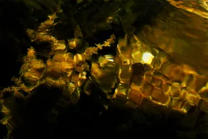 Diffractions artwork