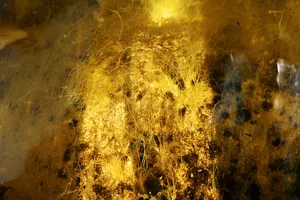 Diffractions artwork