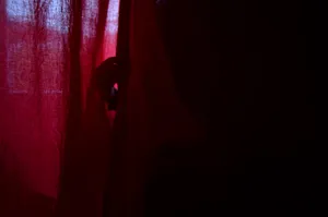 Domestic Violence artwork